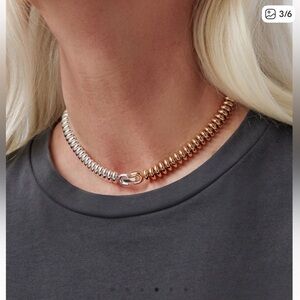 NWT IN BOX Jenny Bird Sophia Two Tone Choker. Never worn.